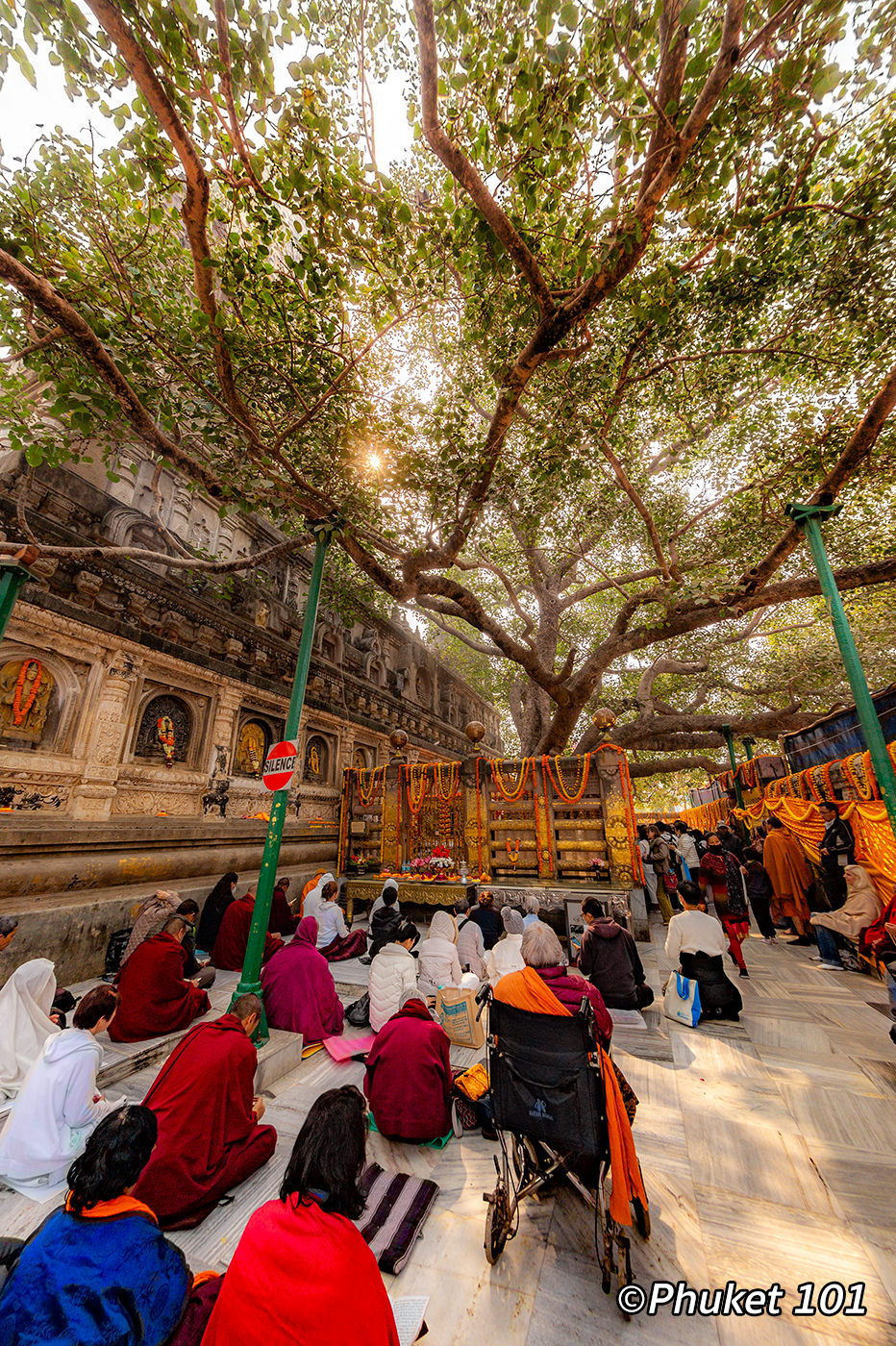 Animisa Cetiya and Sunday Buddha Posture: The Steadfast Gaze 0