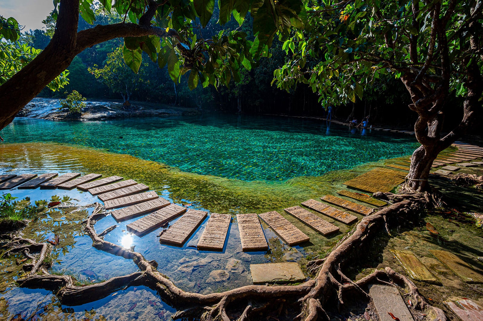 끄라비의 에메랄드 풀