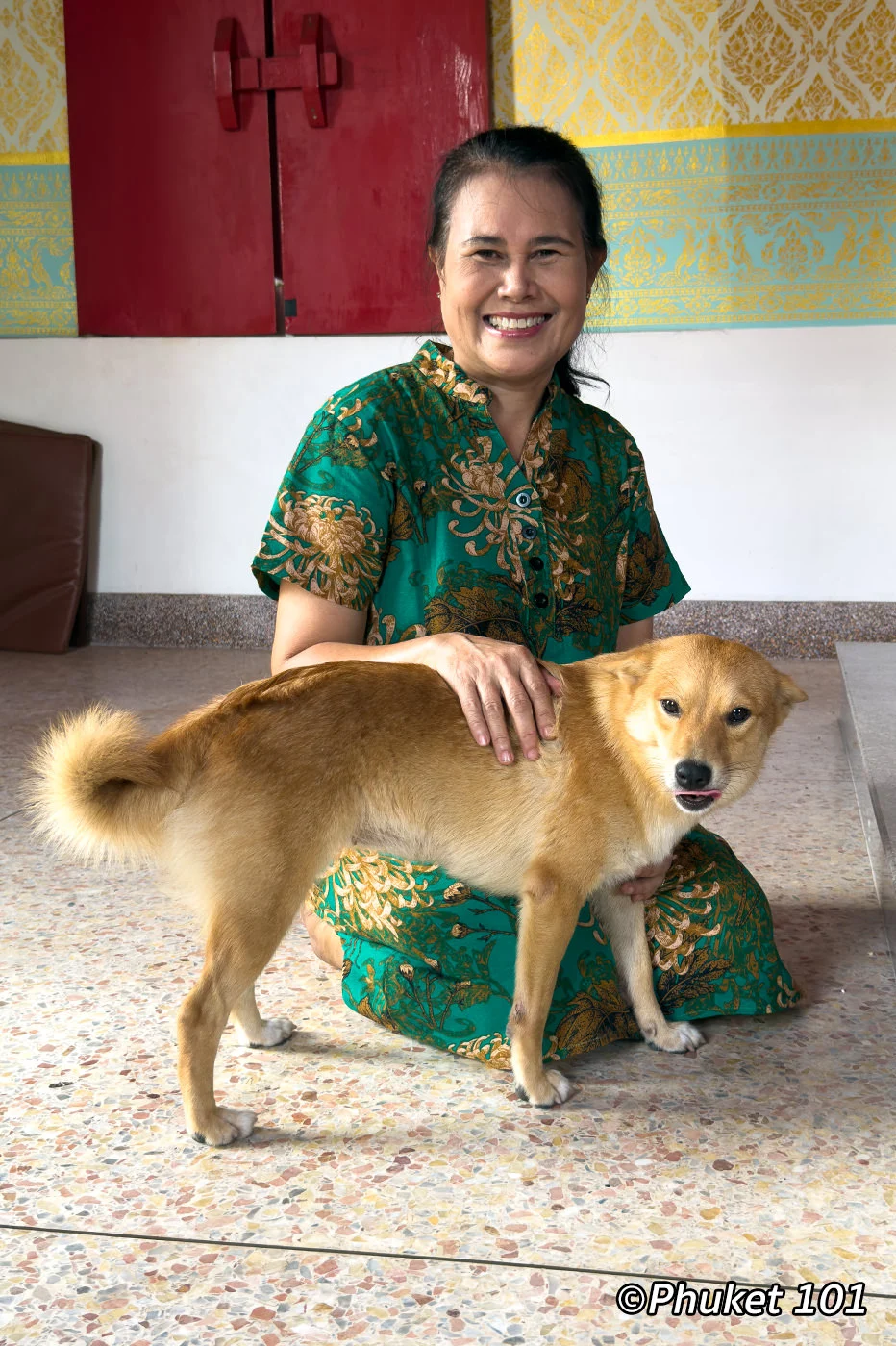 Bodhi Dog Rescue and Shelter in Phuket