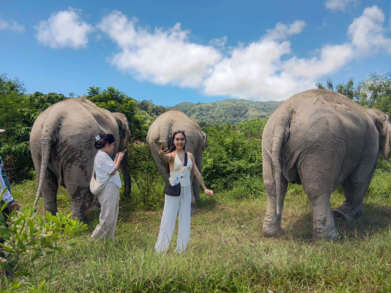 Freedom Elephant Reserve in Phuket