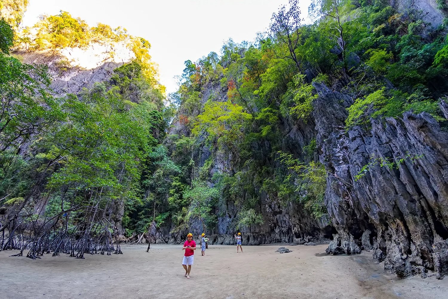 Koh Panak in Phang Nga Bay