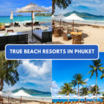 True Beach Resort in Phuket