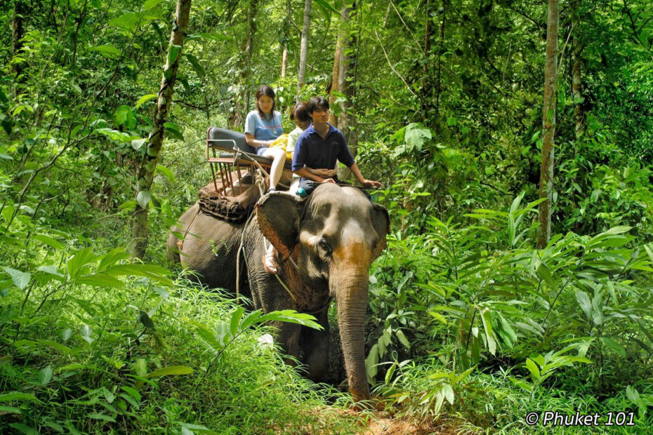 Do's and Don't in Phuket