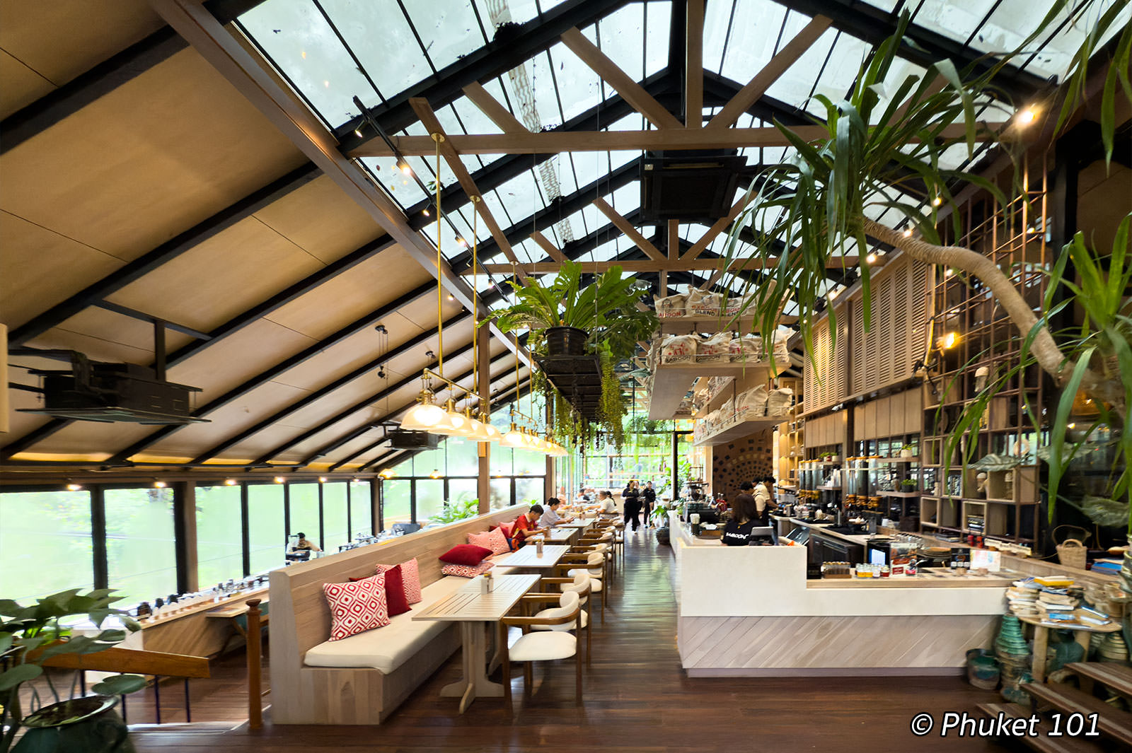 Baboon Phuket Restaurant