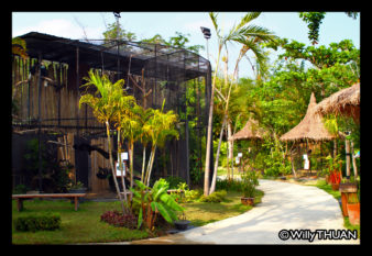 phuket-bird-park-zoo