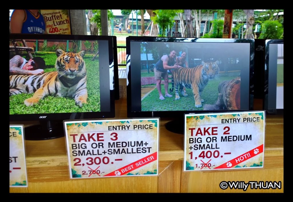 Phuket Tiger Kingdom Prices